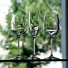Juego de 18 piezas Wine Club